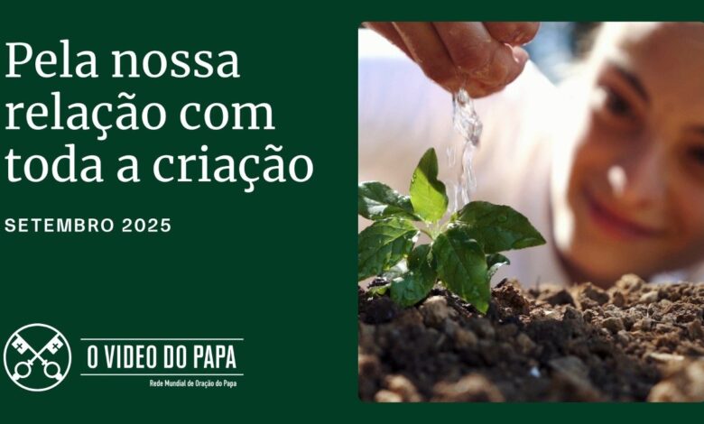 Papa: descobrir a presença de Deus na criação para sermos responsáveis em protegê-la