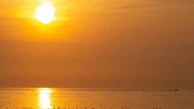 Quando será realizado o Horário de Verão em 2025? Confira as datas!