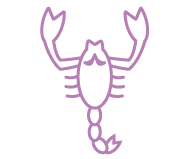 Signo Escorpião