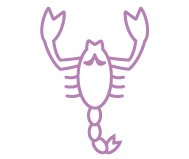 Signo Escorpião