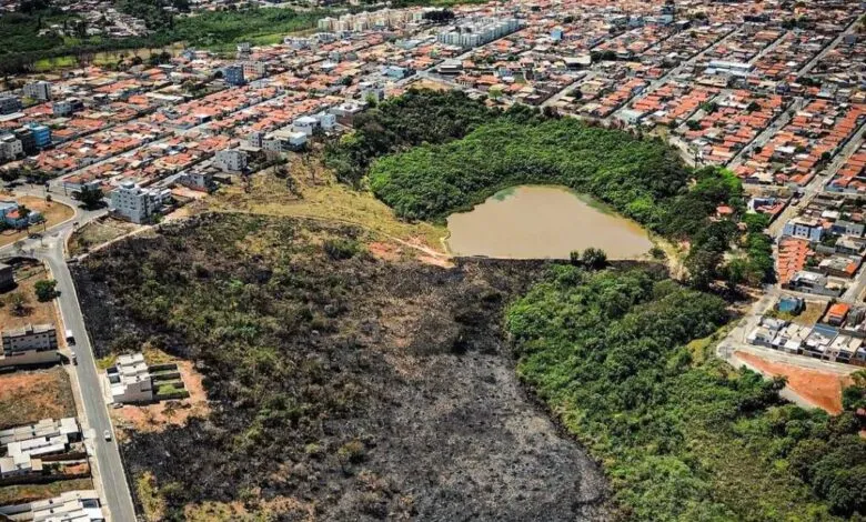 Incêndios florestais queimam quase 20 hectares de mata em duas regiões de Itaúna - Rádio Santana FM