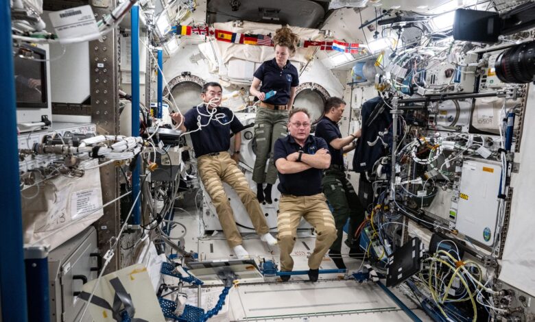 Expedition 73 Flight Engineers (clockwise from top) Zena Cardman, Jonny Kim, and Mike Fincke, all three NASA astronauts, and Kimita Yui from JAXA (Japan Aerospace Exploration Agency) gather together inside the Kibo laboratory module prior to a conference with officials on the ground.