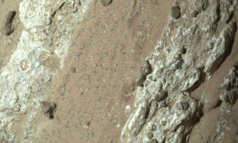 En esta imagen, el rover Perseverance de la NASA muestra la roca rojiza