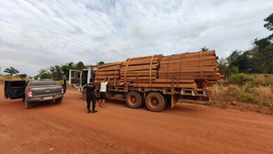 PF deflagra operação contra extração ilegal de madeira na Terra Indígena Roosevelt - Polícia