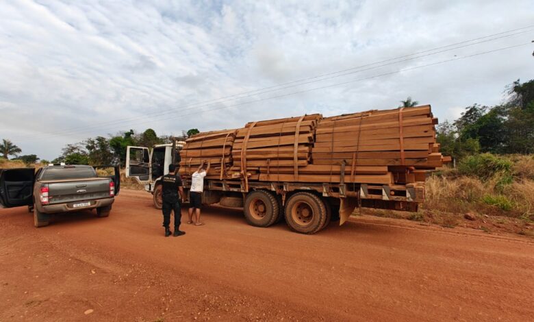 PF deflagra operação contra extração ilegal de madeira na Terra Indígena Roosevelt - Polícia