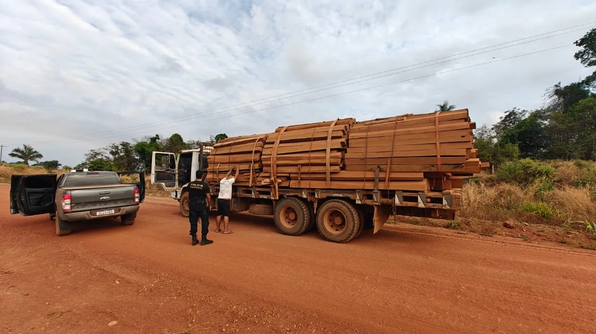 PF realiza operação contra extração ilegal de madeira em Roosevelt