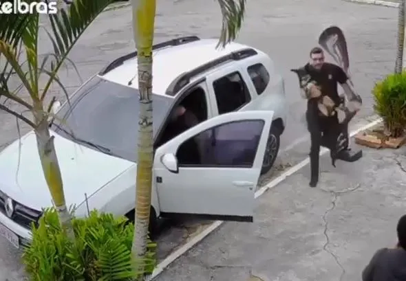 Homem resgata cachorrinho de ataque de pitbull