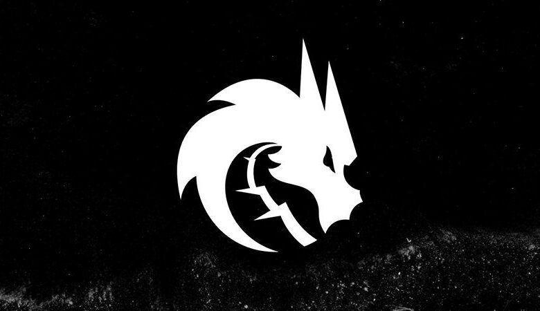 Spirit Bring in Rising Star tN1R to Replace zont1x – blix.gg