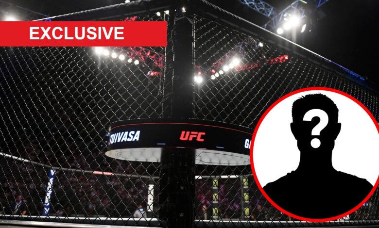A view of the Octagon at UFC Paris in 2022, inset exclusive banner and mystery icon