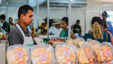 Governo de Rondônia amplia oferta de empregos com mais de 2,9 mil vagas abertas no Sine - Concursos e Empregos