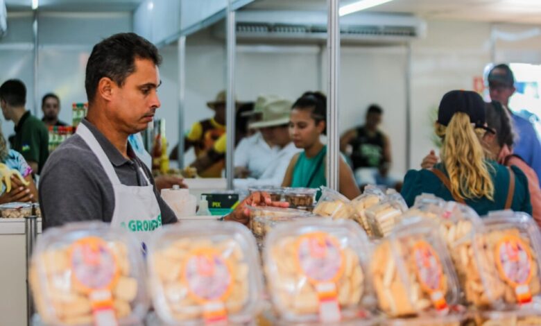Governo de Rondônia amplia oferta de empregos com mais de 2,9 mil vagas abertas no Sine - Concursos e Empregos