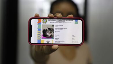 Ação da DPE vai registrar cães e gatos gratuitamente nesta sexta-feira, 17, em Boa Vista