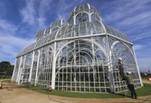 Estufa do Jardim Botânico de Curitiba