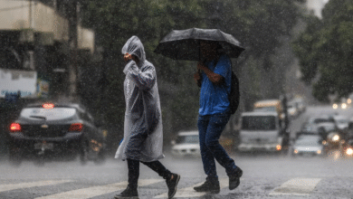 Francisco Morato deve ter um dia com chuva em áreas específicas neste domingo (05)
