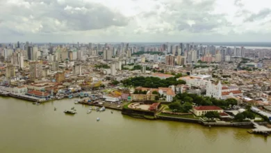 De Olho nos Ruralistas e Fase lançam estudo sobre lobbies na COP30 — Brasil de Fato