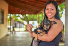 Campanha de Vacinação Antirrábica inicia nesta quarta-feira na zona rural de Boa Vista