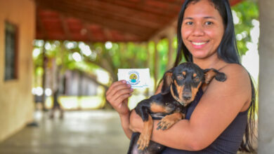 Campanha de Vacinação Antirrábica inicia nesta quarta-feira na zona rural de Boa Vista