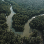 Justiça condena quatro pessoas por danos ambientais no sul do Amazonas