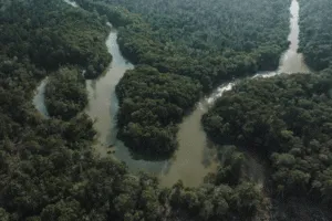 Justiça condena quatro pessoas por danos ambientais no sul do Amazonas
