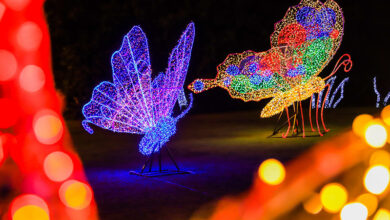 Acendimento das luzes de Natal no Parque do Rio Branco ocorre neste domingo, 9