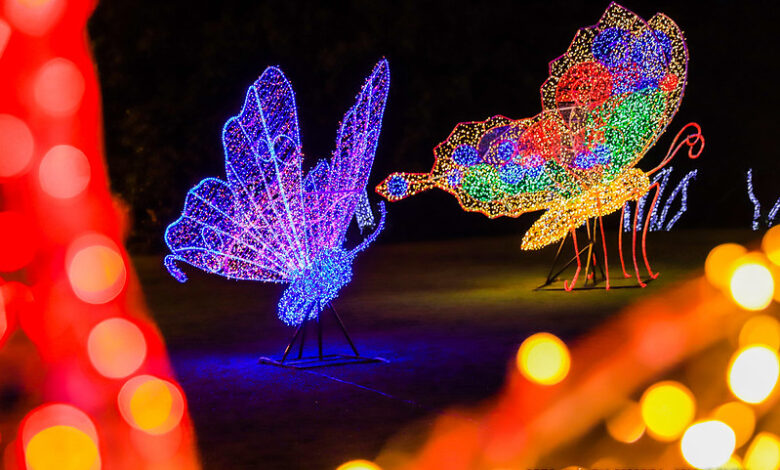 Acendimento das luzes de Natal no Parque do Rio Branco ocorre neste domingo, 9