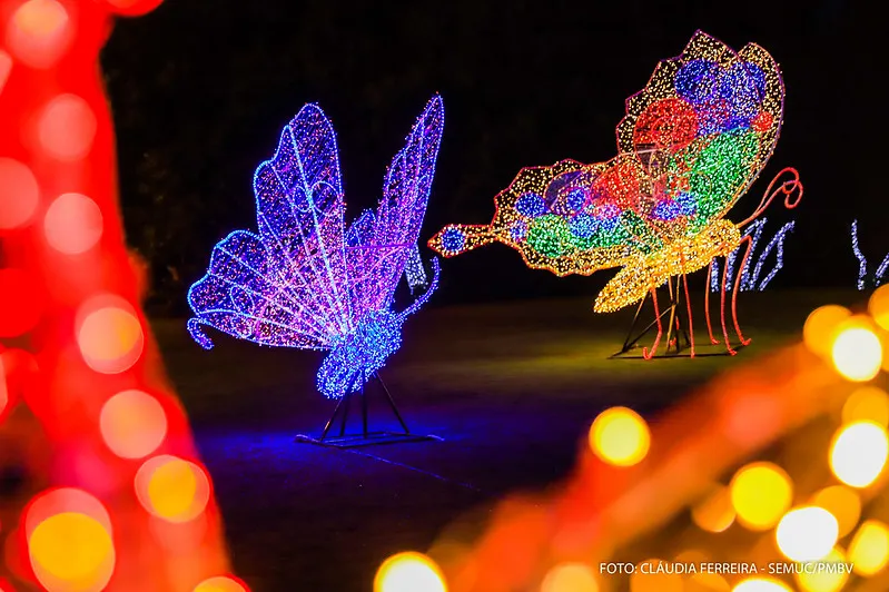 Luzes de Natal no Parque do Rio Branco são acesas neste domingo