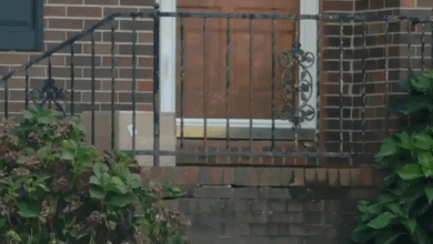 Mulher que esperava remédios recebe caixa com braços e dedos humanos