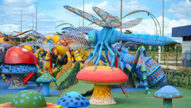 Selvinhas Amazônicas das praças de Boa Vista recebem serviços de revitalização