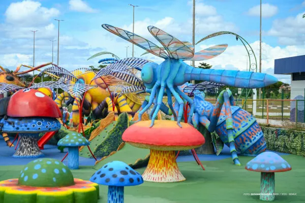 Revitalização das selvinhas amazônicas em Boa Vista