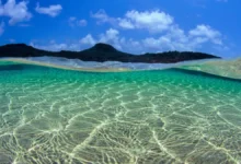 Um guia para viver momentos especiais em Fernando de Noronha