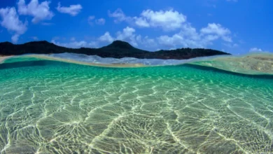 Um guia para viver momentos especiais em Fernando de Noronha