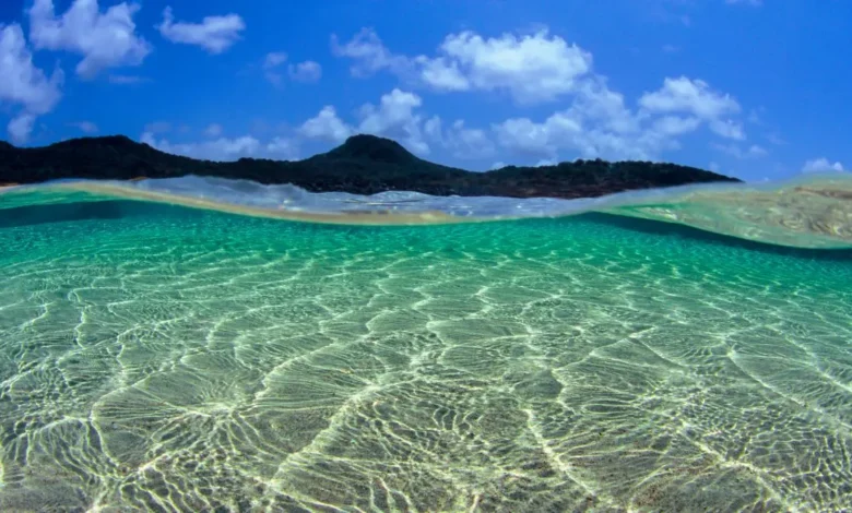 Um guia para viver momentos especiais em Fernando de Noronha