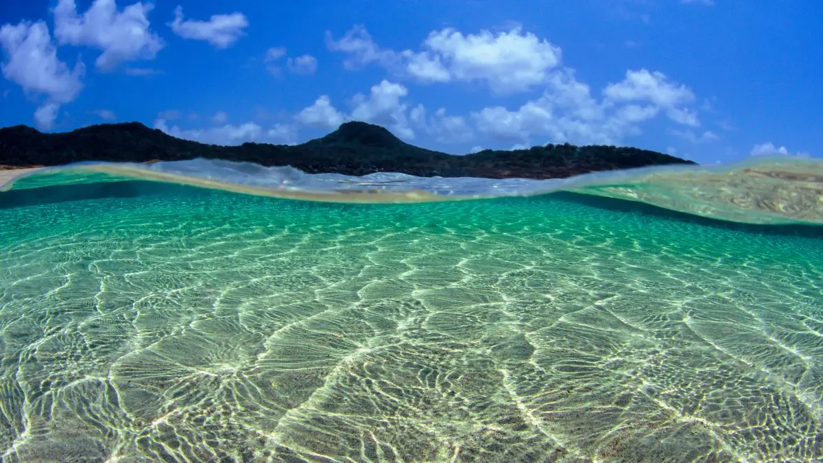 Um guia para viver momentos especiais em Fernando de Noronha