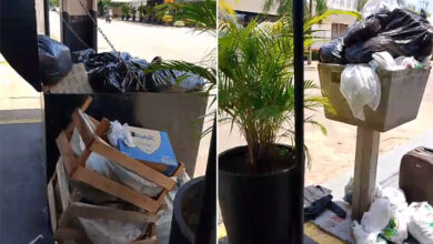 Vídeo: comerciantes reclamam da coleta de lixo, e empresa garante regularizar até as 20 horas desta segunda-feira - Geral