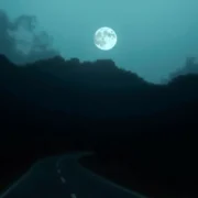 Por que os seus Reels não estão alcançando muitas pessoas no feed