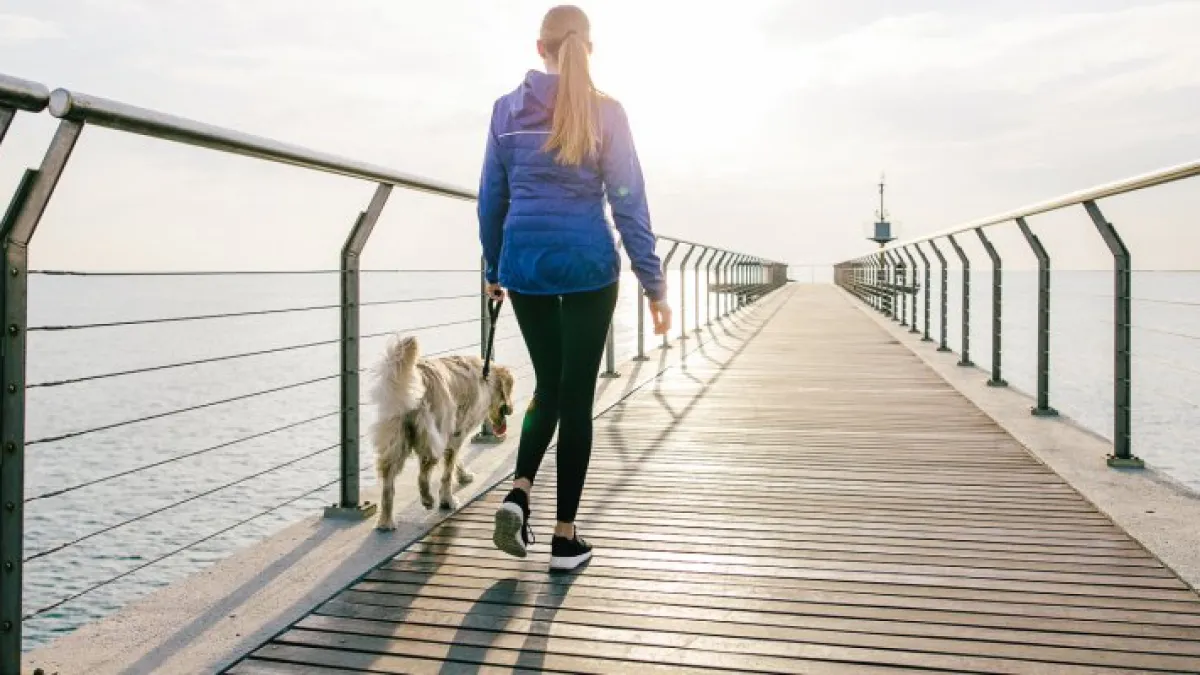 Brazil Study: Walking May Not Shield the Aging Brain
