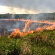 MS suspende queimas controladas até novembro e amplia restrição no Pantanal