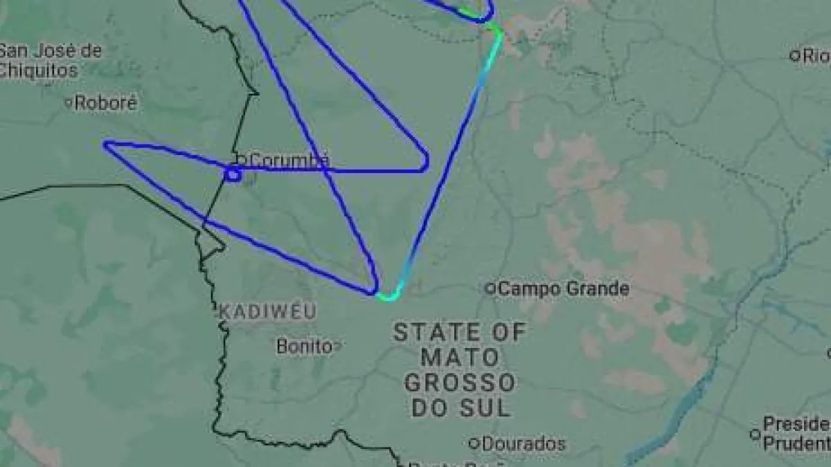 Avião alemão sobrevoa Pantanal para medir gases do efeito estufa