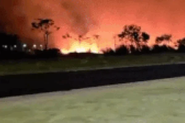 Incêndio de grandes proporções atinge mata em Chapadão do Sul