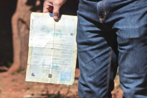 MS: 1.913 crianças são registradas sem pai até julho