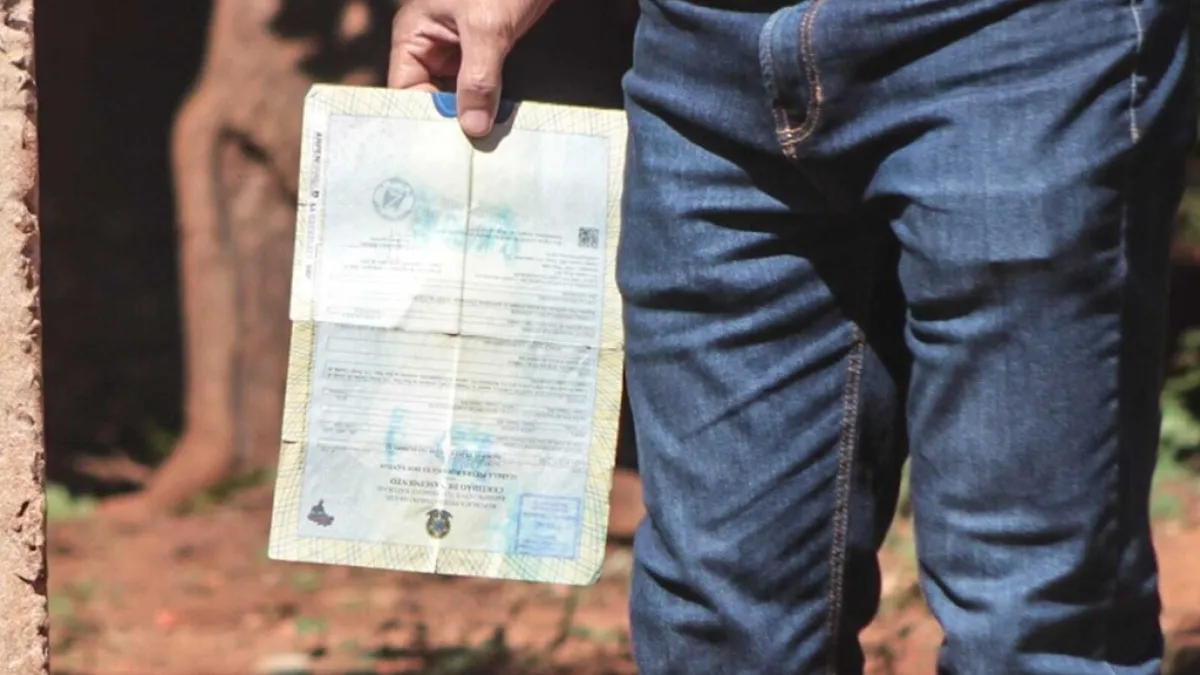 MS: 1.913 crianças são registradas sem pai até julho