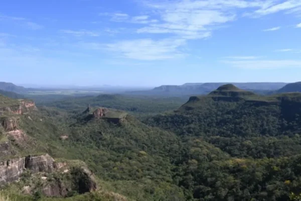 Pantanal reduz desmate em 65% e Cerrado cai 11,5%