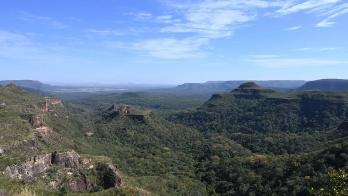 Pantanal reduz desmate em 65% e Cerrado cai 11,5%