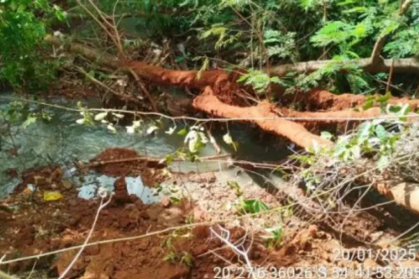 MP apura poluição e morte de peixes no Córrego Imbirussu