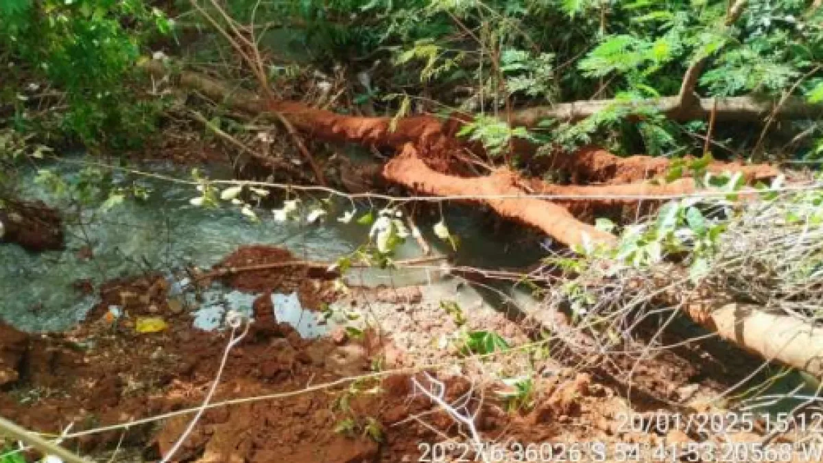 MP apura poluição e morte de peixes no Córrego Imbirussu